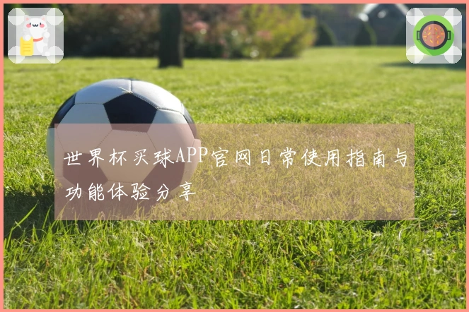 世界杯买球APP官网日常使用指南与功能体验分享
