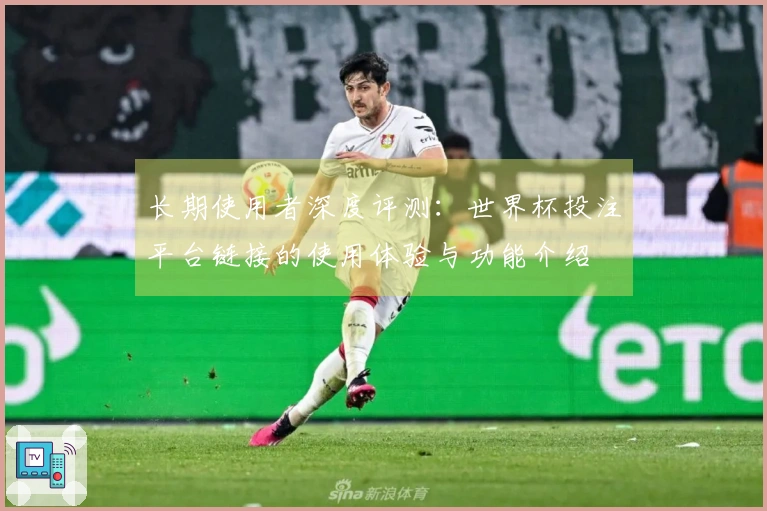 长期使用者深度评测：世界杯投注平台链接的使用体验与功能介绍