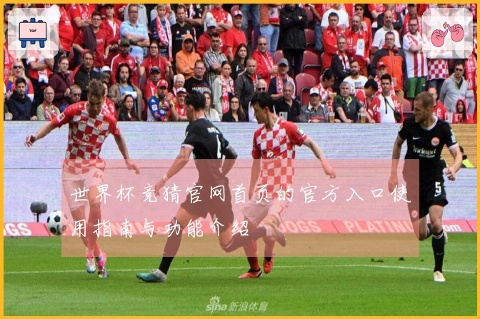 世界杯竞猜官网首页的官方入口使用指南与功能介绍