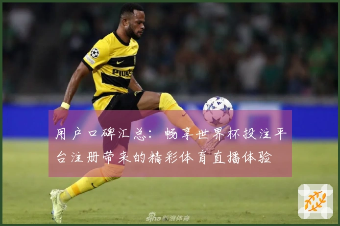 用户口碑汇总：畅享世界杯投注平台注册带来的精彩体育直播体验