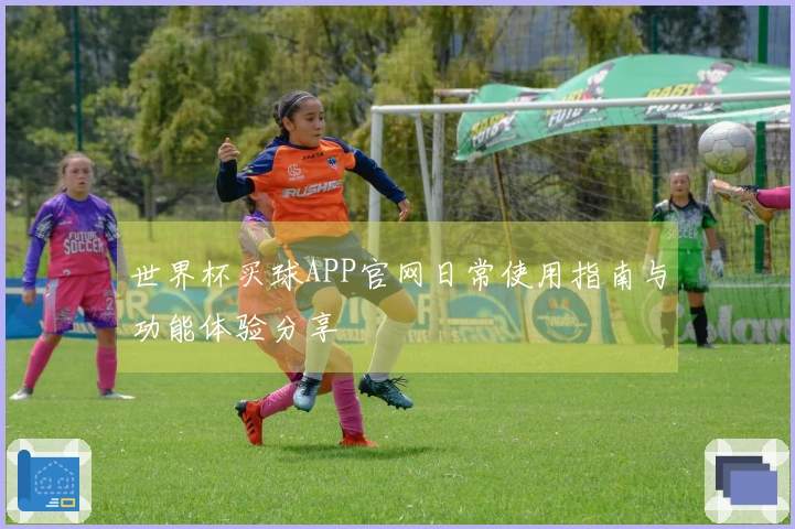 世界杯买球APP官网日常使用指南与功能体验分享