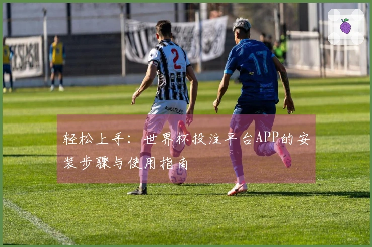 轻松上手：世界杯投注平台APP的安装步骤与使用指南