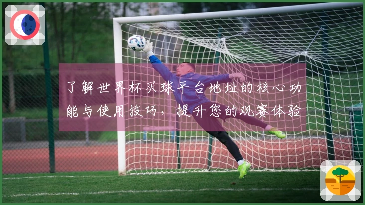 了解世界杯买球平台地址的核心功能与使用技巧，提升您的观赛体验