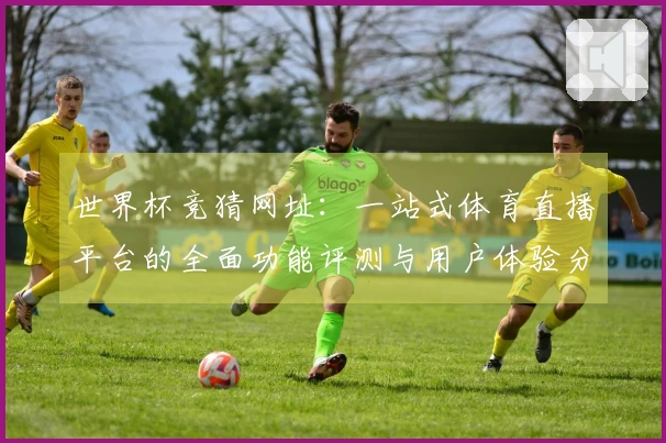 世界杯竞猜网址：一站式体育直播平台的全面功能评测与用户体验分析