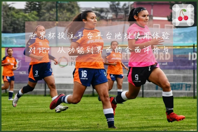 世界杯投注平台平台地址使用体验对比：从功能到界面的全面评价与推荐