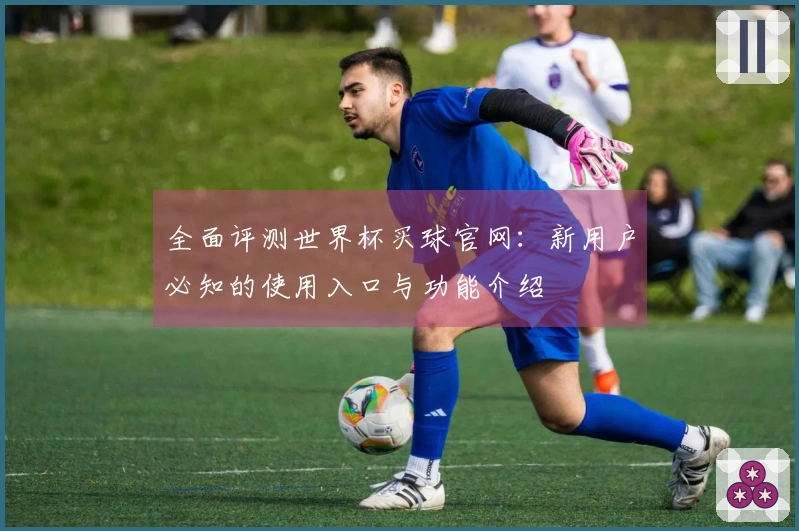 全面评测世界杯买球官网：新用户必知的使用入口与功能介绍