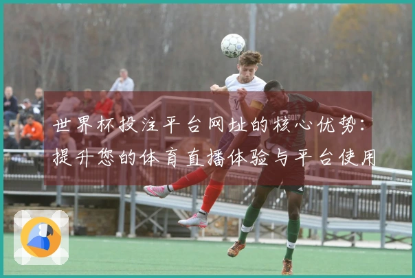 世界杯投注平台网址的核心优势：提升您的体育直播体验与平台使用感受